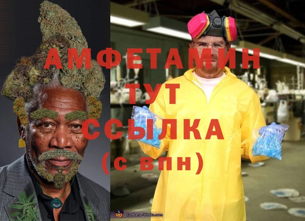 дмт Алексин