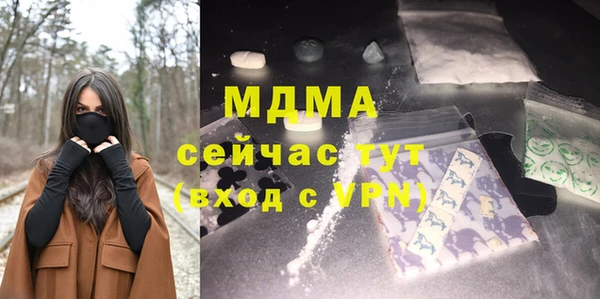 гашик Няндома
