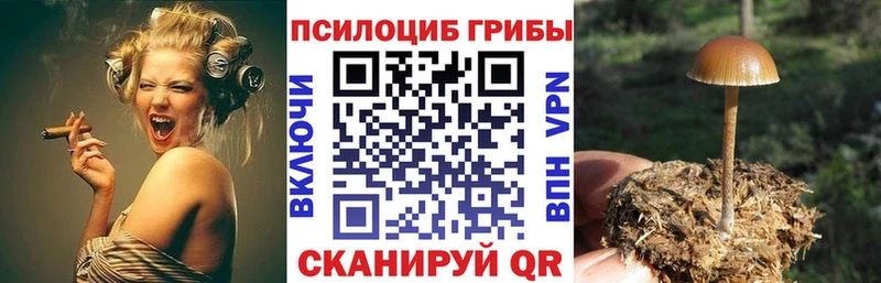 Псилоцибиновые грибы ЛСД Циолковский